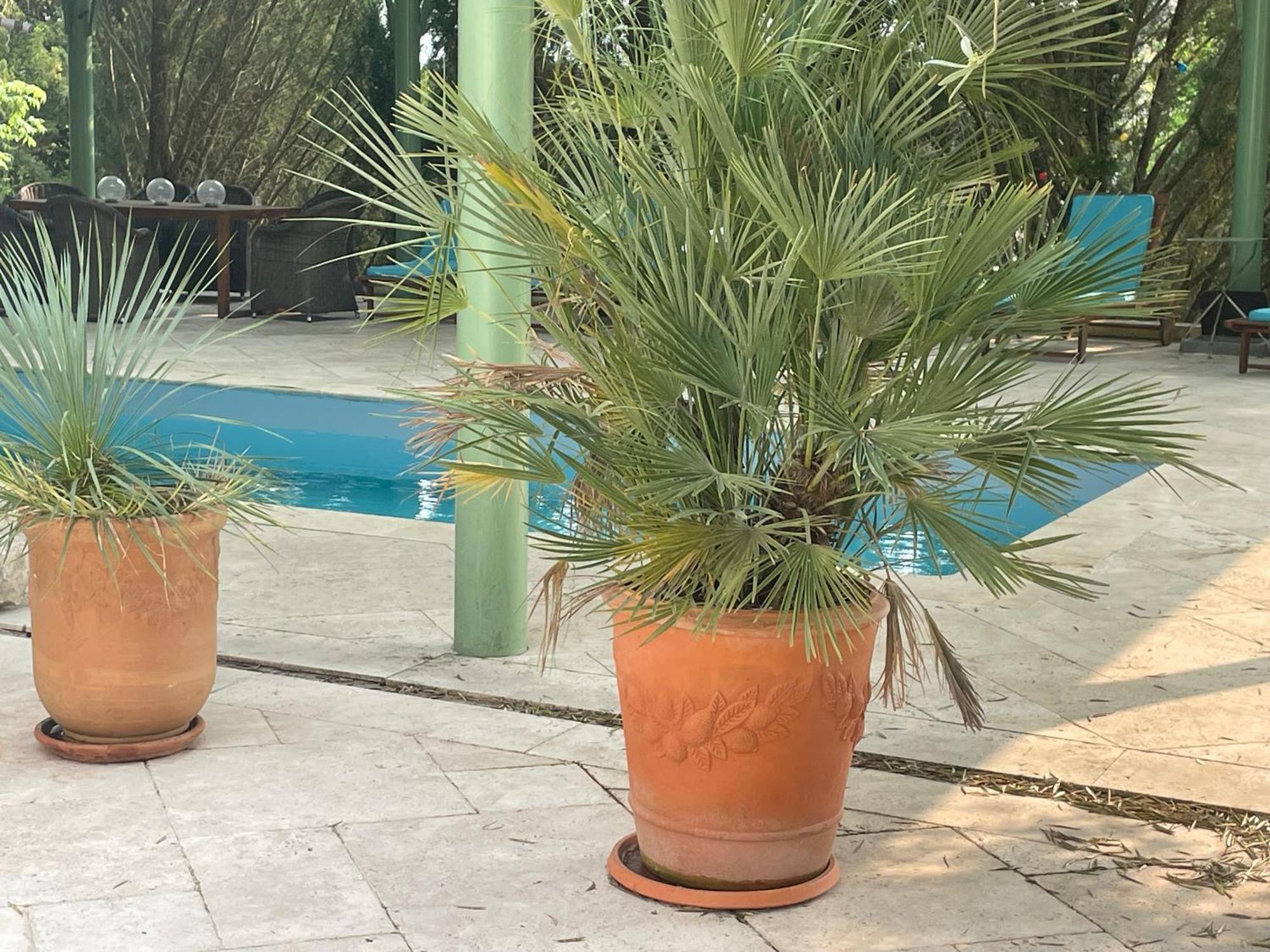Domaine Spa Perret-Chateau Artdeco Mastersuite En B&B Et-Ou Gite De Charme-Giverny A 3Mn-Jardins Monet-Le Vexin-Piscine Ete-Parc 3Ha-Aire De Jeux Enfants-Pingpong-Options Breakfast-Diner-Billard-Sauna-Fitness-Hammam-Promo 2Nuits En Sus Jacuzzi 1H Off Sainte-Genevieve-les-Gasny Экстерьер фото